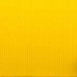 Ashlee Smith Profile Picture