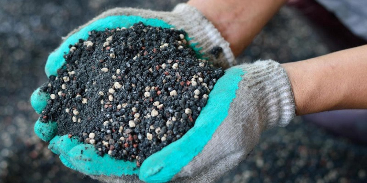Cách Chăm Sóc Mai Vàng Tháng 7 Để Đạt Hiệu Quả Tốt Nhất