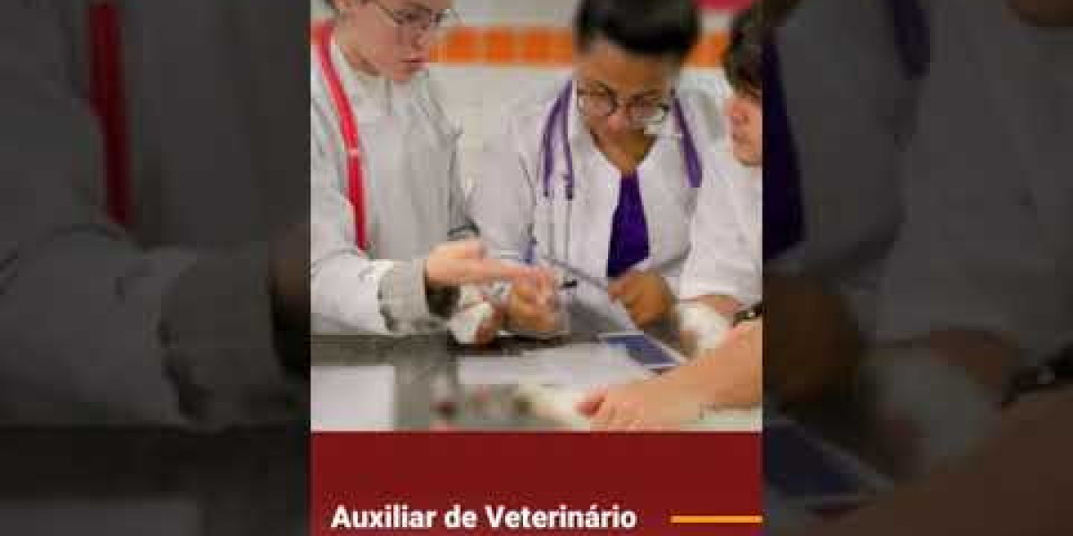 Hemograma en perros: qué es, procesos y resultados