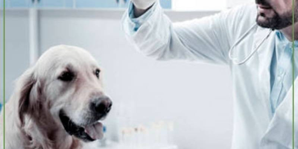 The Silent Impact of Kidney + Liver Disease in Dogs treatment really helps!