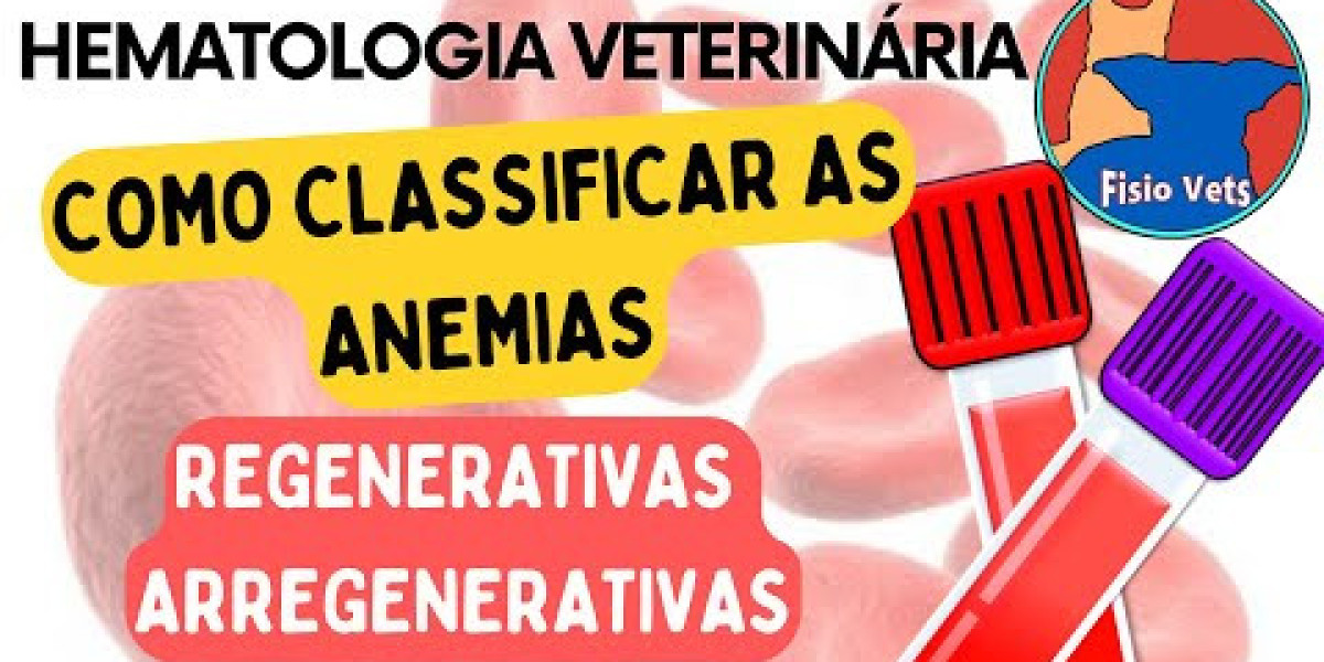 Elevated liver enzyme activity in a dog? An algorithm to help you determine Now what?
