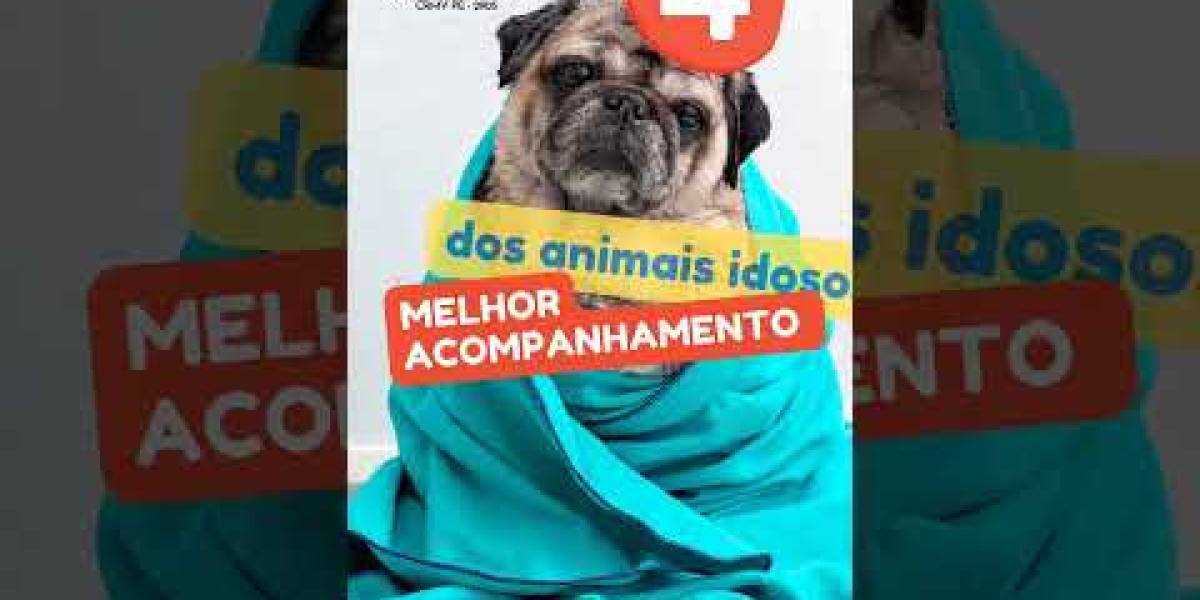 Entendendo os Custos da Ultrassonografia Veterinária: O Que Esperar na Hora de Cuidar do Seu Pet