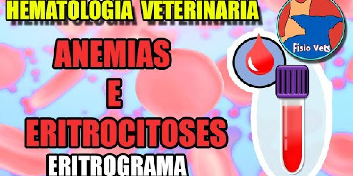 Precio de radiografía para perros: cuánto puede costarte Web para tus Mascotas