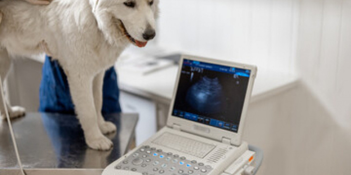 Ecocardiografía Clín Vet. Sánchez del Río