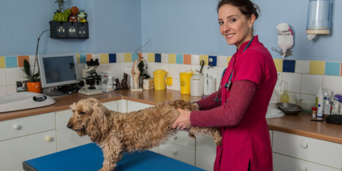 Causes, Symptoms, & Treatments for Fluid in the Lungs in Dog