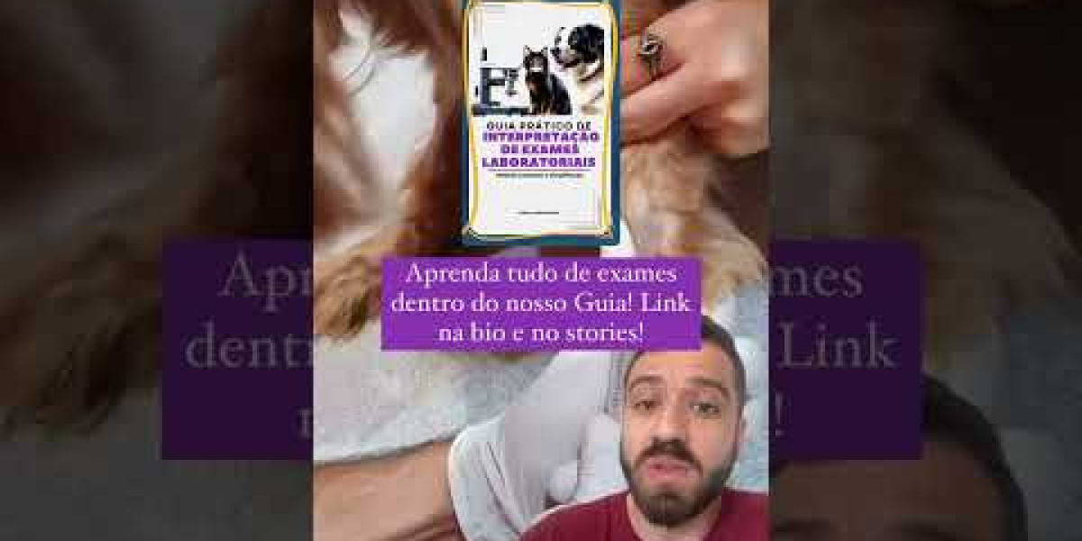 Problemas cardiacos en los perros: por qué es importante detectarlos a tiempo