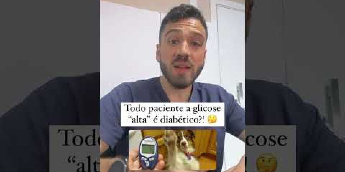 Radiografía al gato: cómo hacerlo, cuándo y para qué problemas