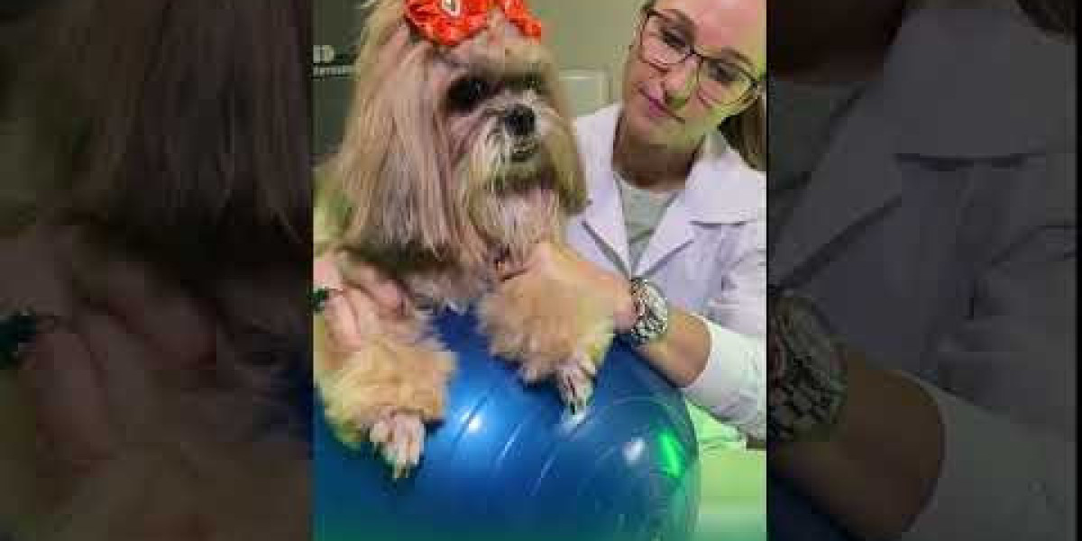 Initial Consultation CVCA Cardiac Care for Pets