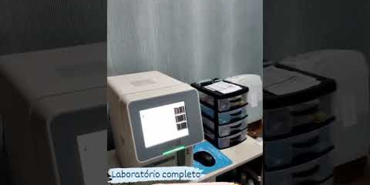 Diagnóstico Por Imágenes Para Felinos Ultrasonido, RMN, Rayos X, Radiología