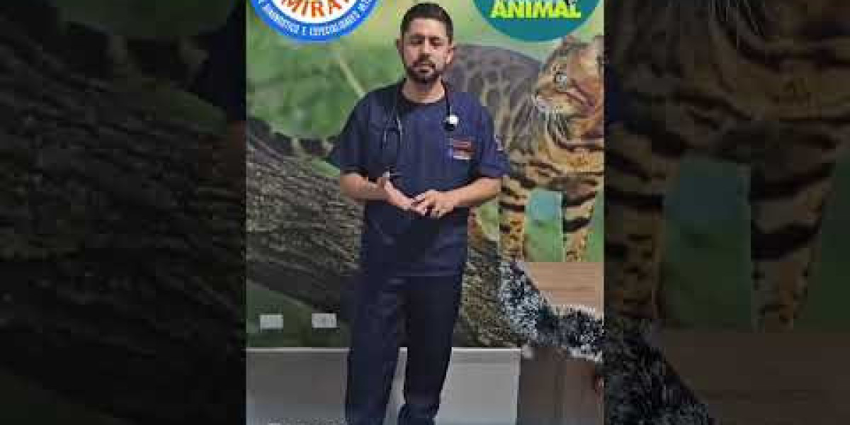 ¿Qué es la radiología veterinaria?