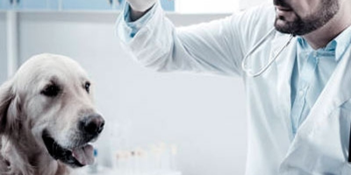 How Much Does A Dog Cardiologist Cost? A Detailed Breakdown