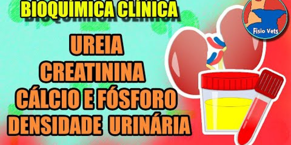 Radiografía para perros y gatos: Tipos, ventajas y precios 2024