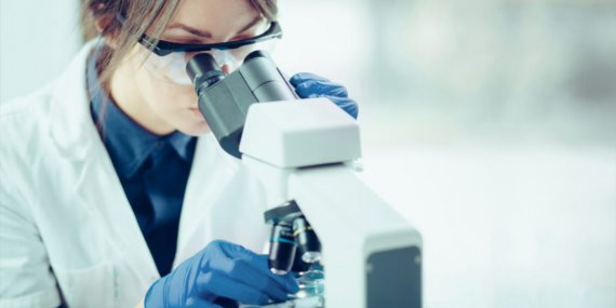 Radiografías, Ecografías, Resonancias y TAC veterinario en Madrid
