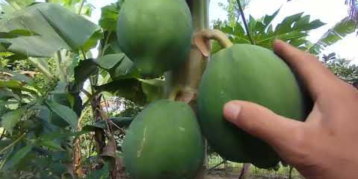 Carreta Tanque Preço Venda Compra