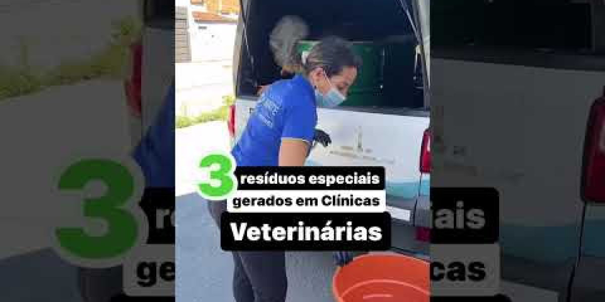 Electrocardiograma en perro: hallazgos más importantes