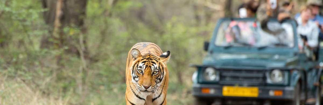 BigCat Jungle Safari Cover Image
